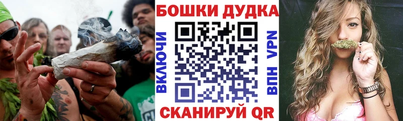 Бошки марихуана план  Светлогорск 